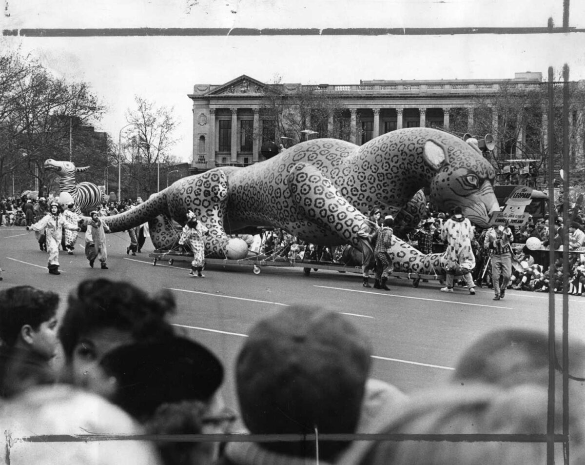 A black and white photo of a parade features a large, inflatable leopard float being guided by people in costumes. Crowds line the street, and a grand building with columns is visible in the background.