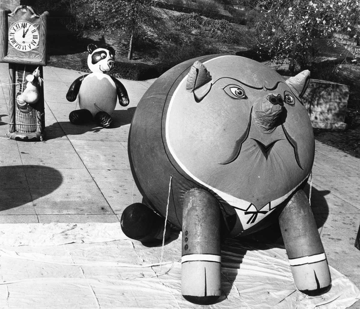 A black and white photo of two large inflatable animal balloons on a sidewalk: one resembling a pig and the other a panda. An inflatable clock tower is in the background. Trees and bushes line the path.