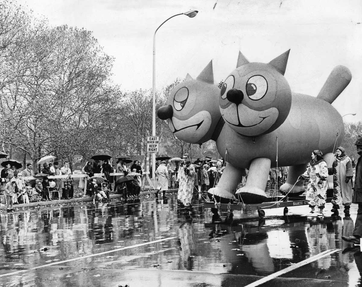 Two headed cat at Gimbel's parade