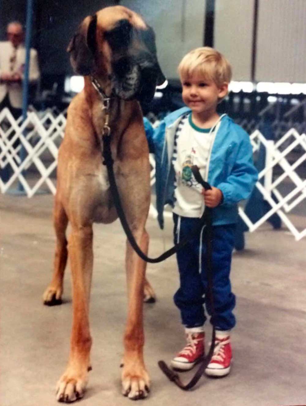 A young child with blonde hair, wearing a blue jacket and red sneakers, stands next to a large, tan Great Dane dog on a leash indoors, both facing the camera and appearing calm.