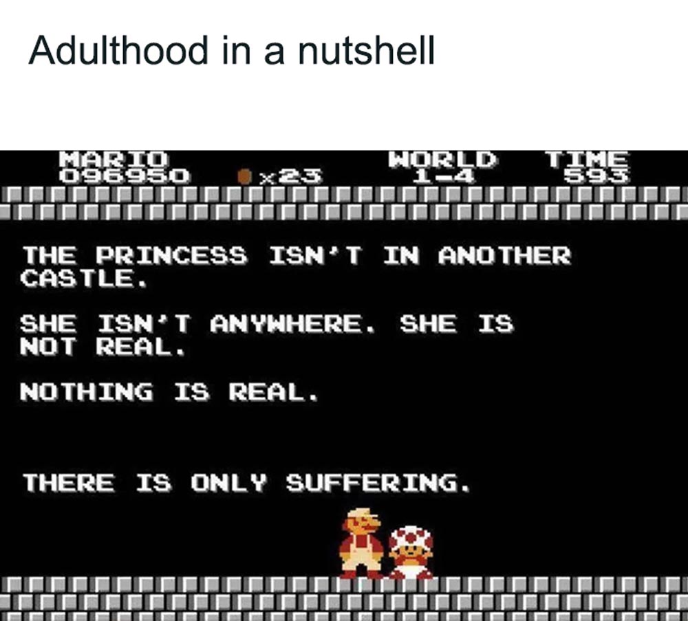 A Super Mario game screen with text saying the princess isn’t real and only suffering exists. Above, a caption reads “Adulthood in a nutshell.” Mario and Toad stand next to each other.